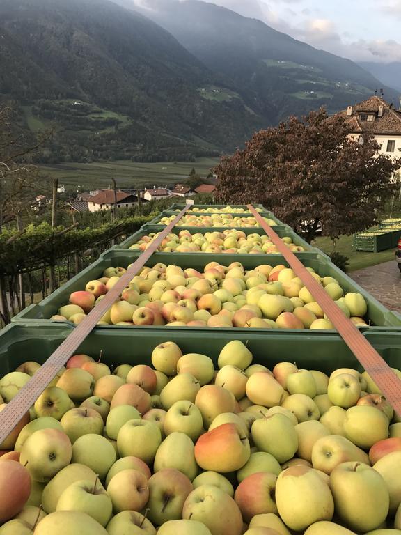 Klostergut Castelbello Exterior photo
